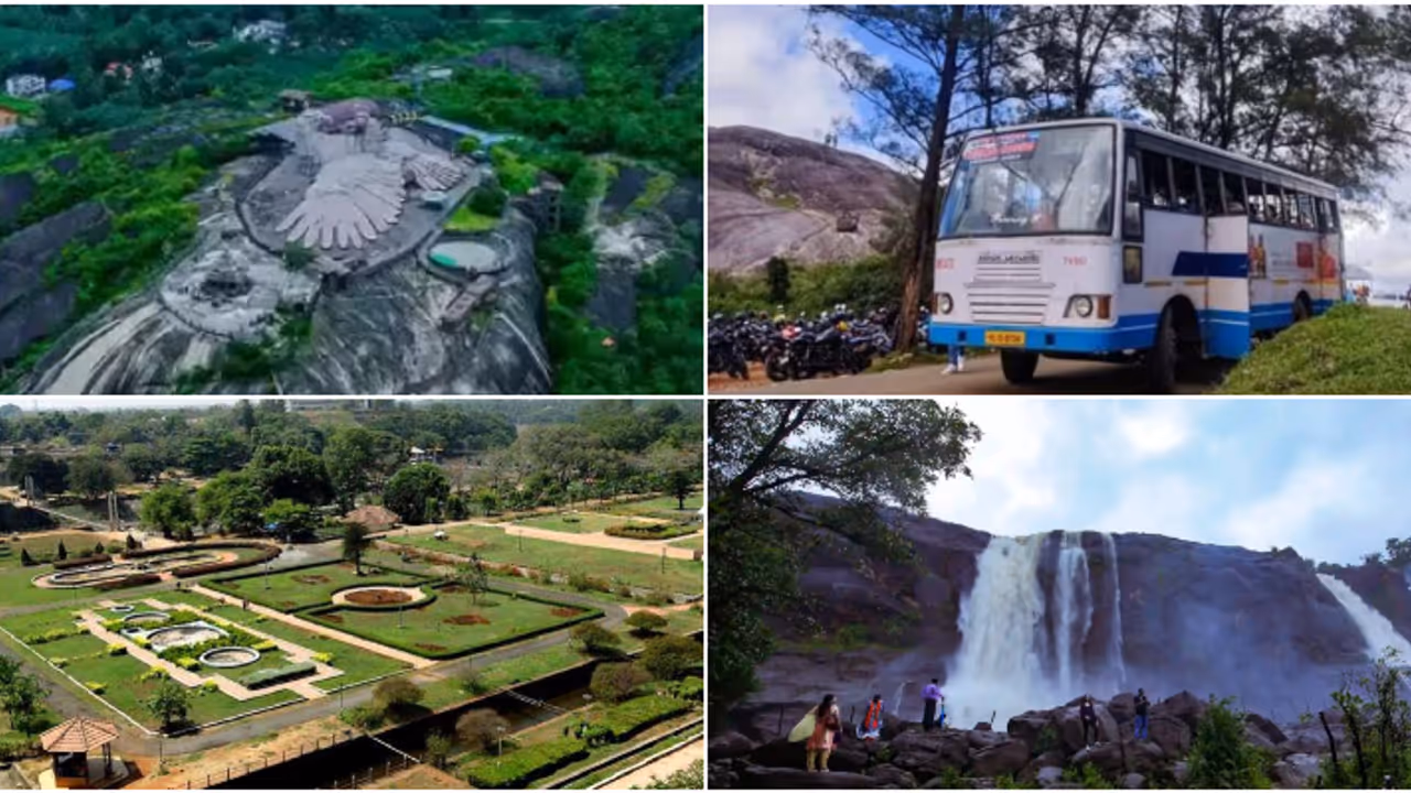 One day trip One day trip