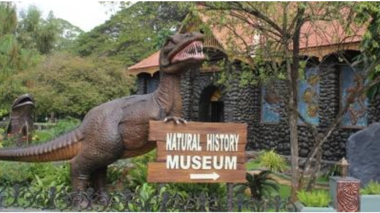 Natural History Museum