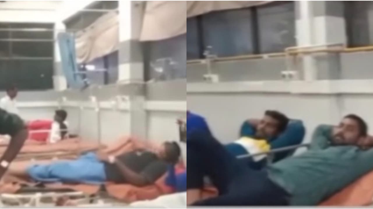 stray dog attack stray dog attack