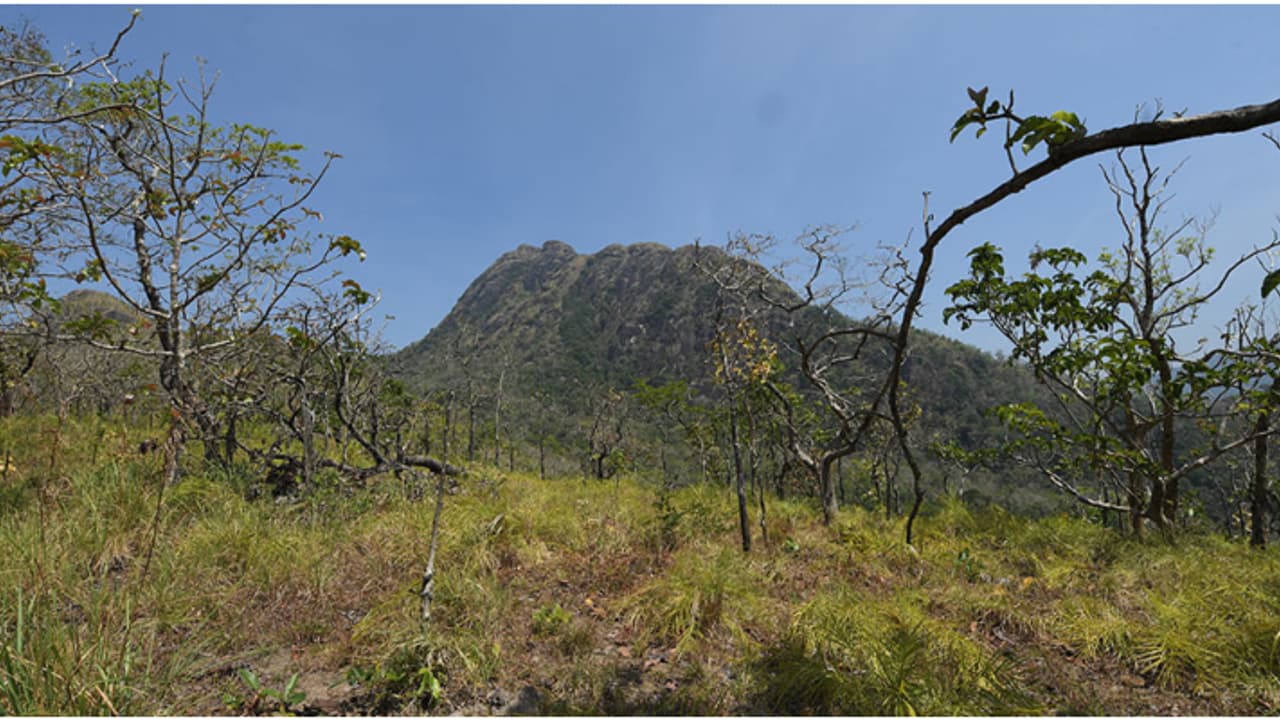 Varayadumotta 