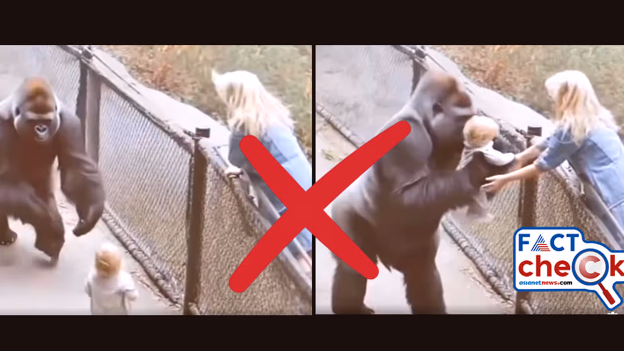 Fact Check Fact Check