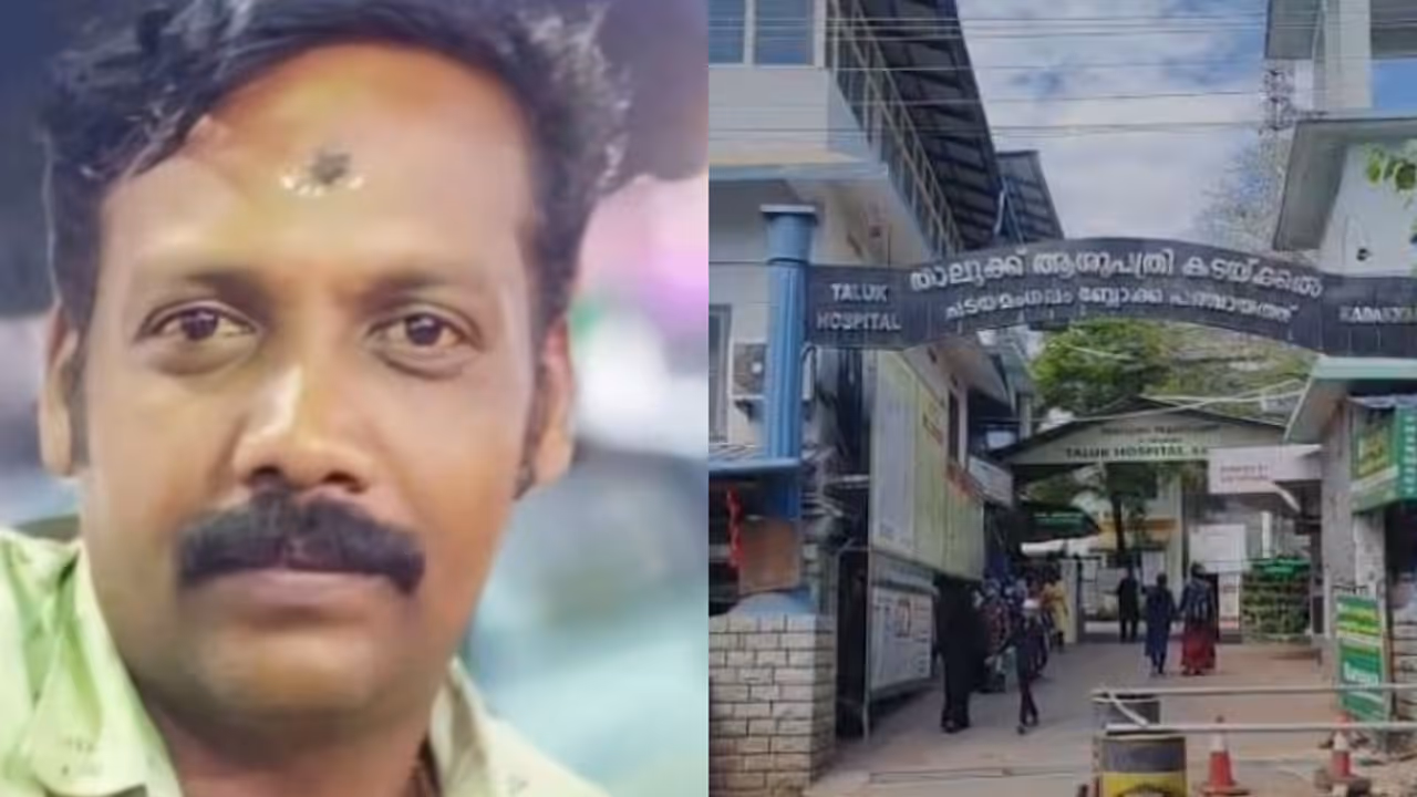 kollam rabies death kollam rabies death