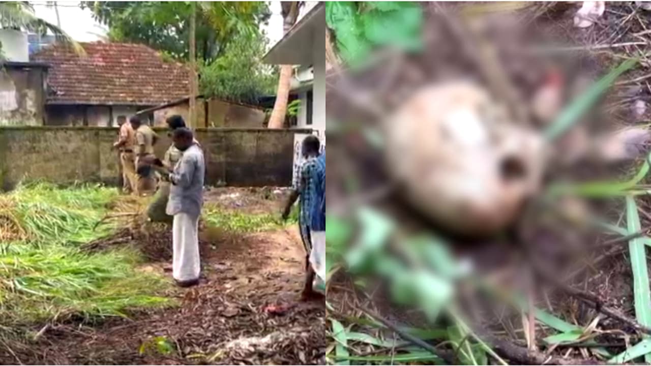 human skull found in kochi
