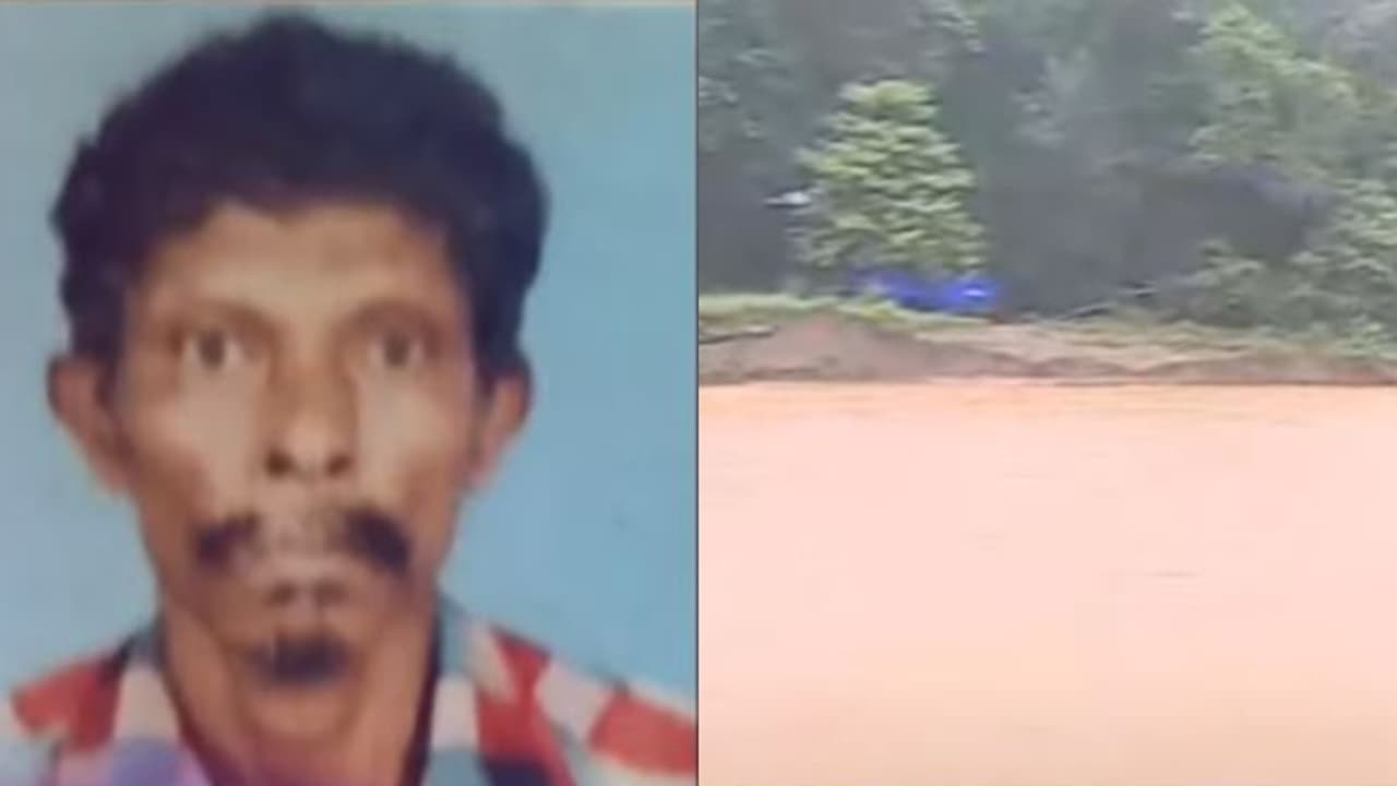 pothukallu elephant attack pothukallu elephant attack