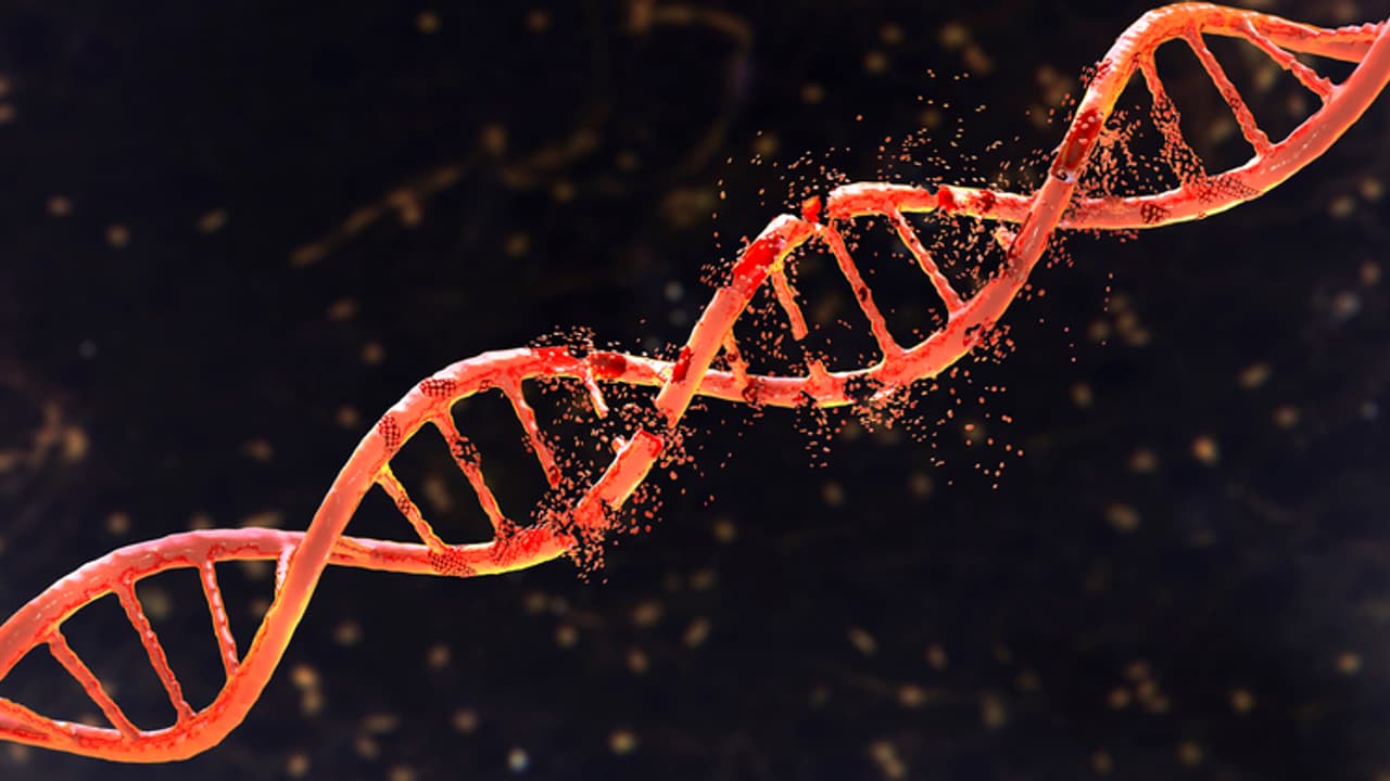 World Thalassemia Day