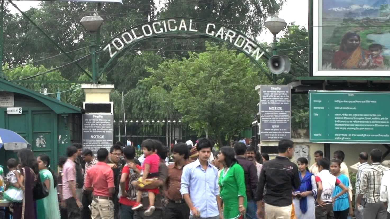 alipore zoo alipore zoo