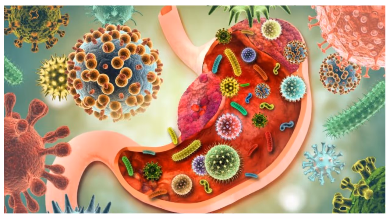 gut health gut health