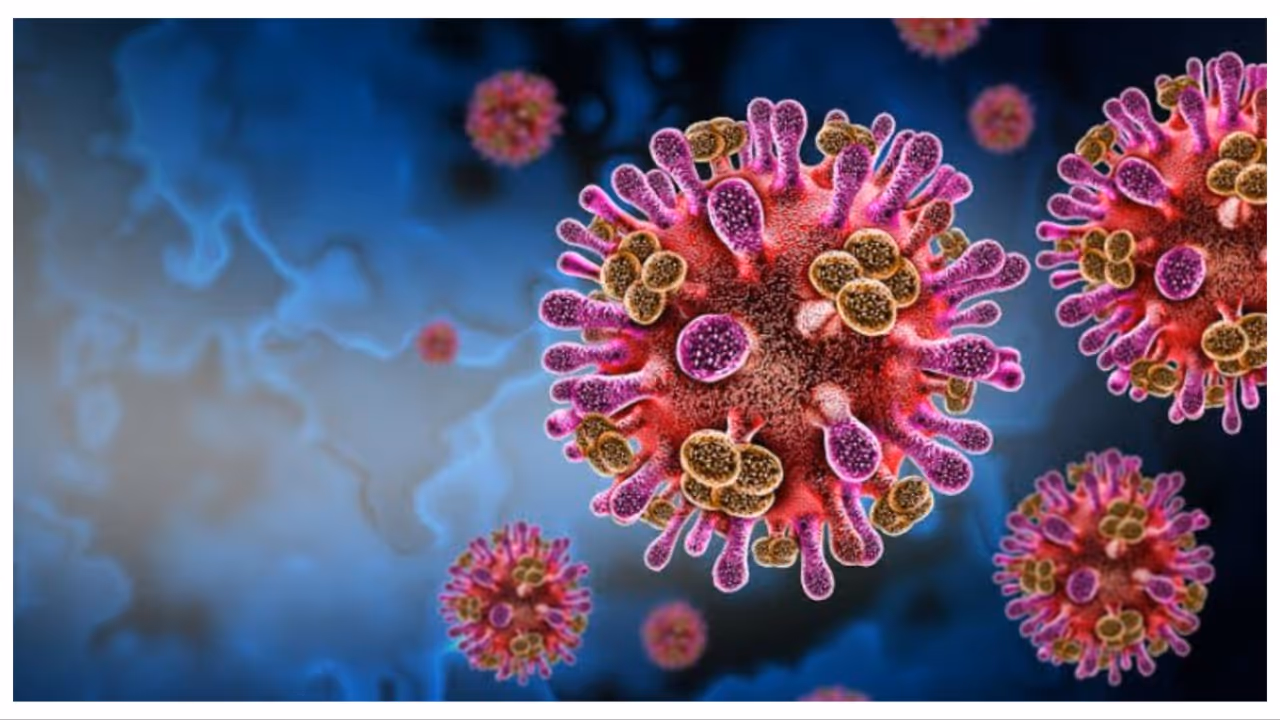 nipah virus nipah virus