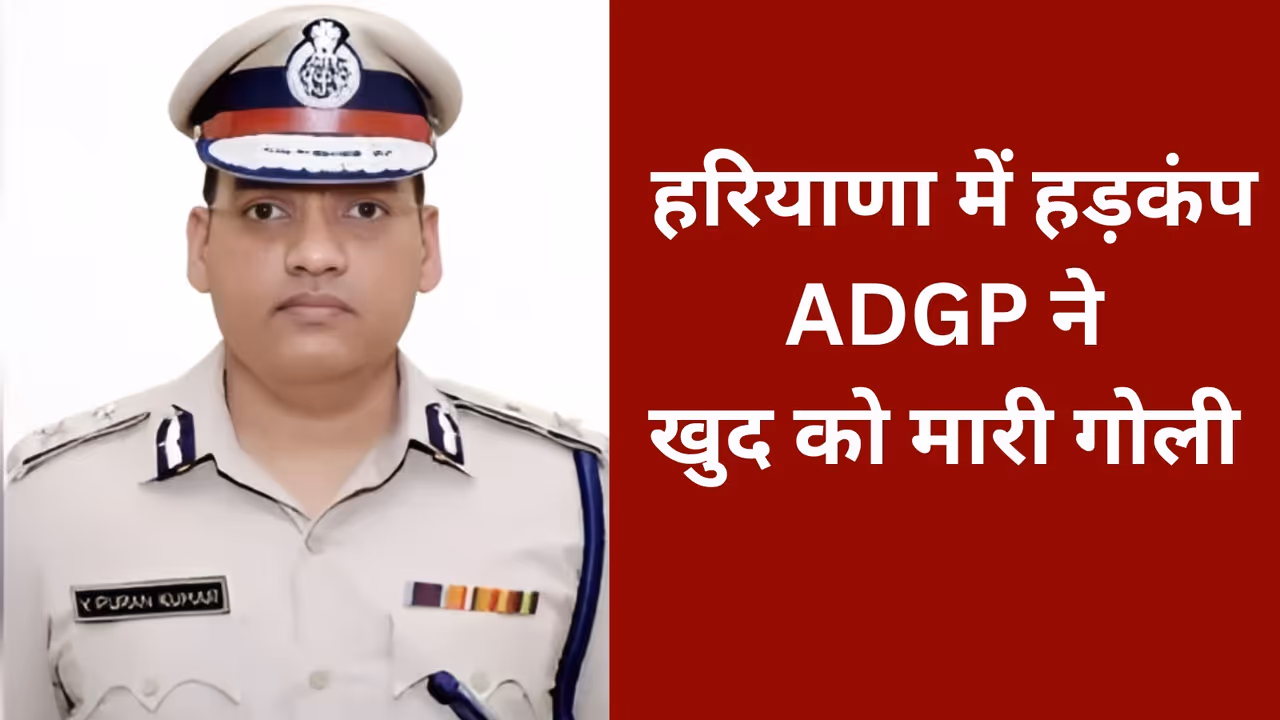 Haryana News Haryana News