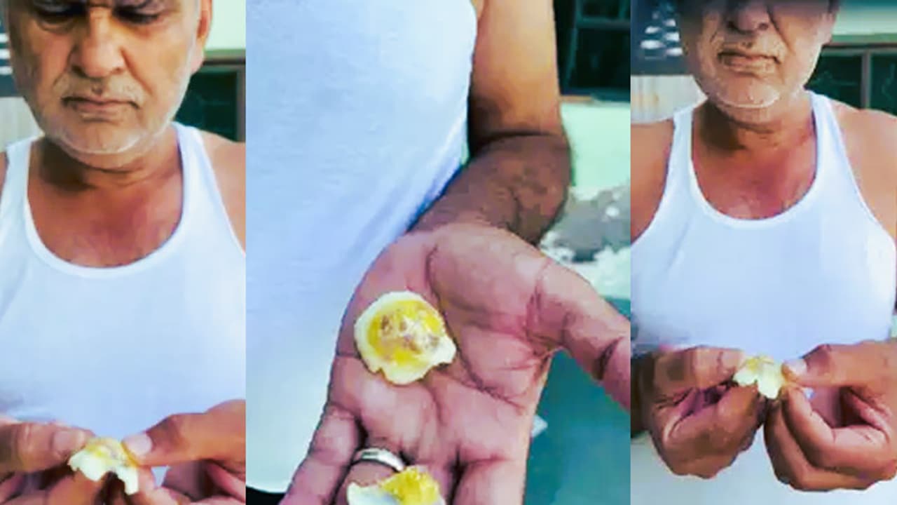 Fake and Chinese Eggs Fake and Chinese Eggs