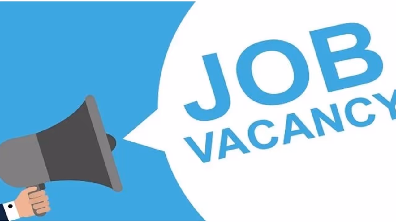 Job Vacancy Job Vacancy