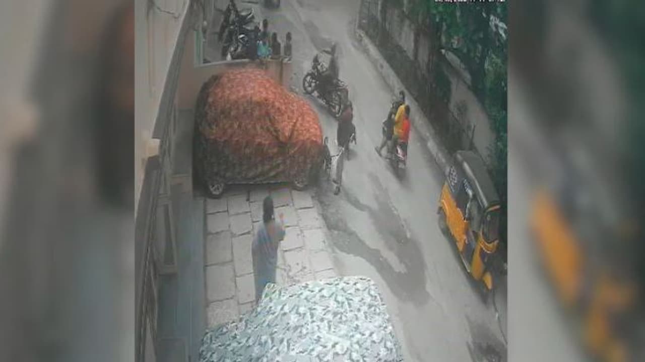 Neighbor fight over dog peeing infront of home