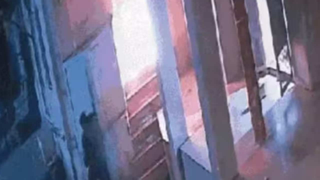 Bharuch Mutt Bharuch Mutt