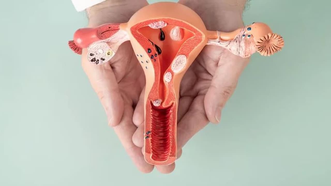 Why Vaginal Yeast Infections Increase During The Monsoon Season Why Vaginal Yeast Infections Increase During The Monsoon Season