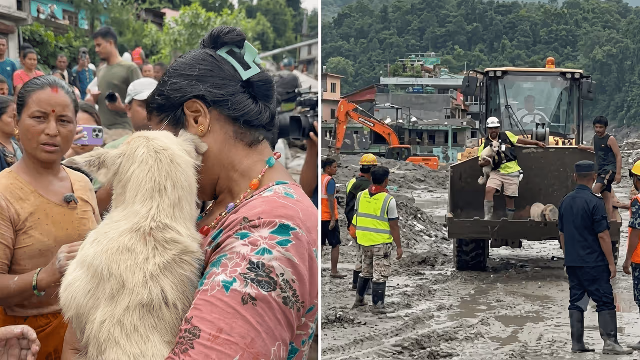 Dog Survives Five Days Alone After Nepal Flood Sweeps Through Village, Reunites With Owner in Emotional Video Dog Survives Five Days Alone After Nepal Flood Sweeps Through Village, Reunites With Owner in Emotional Video