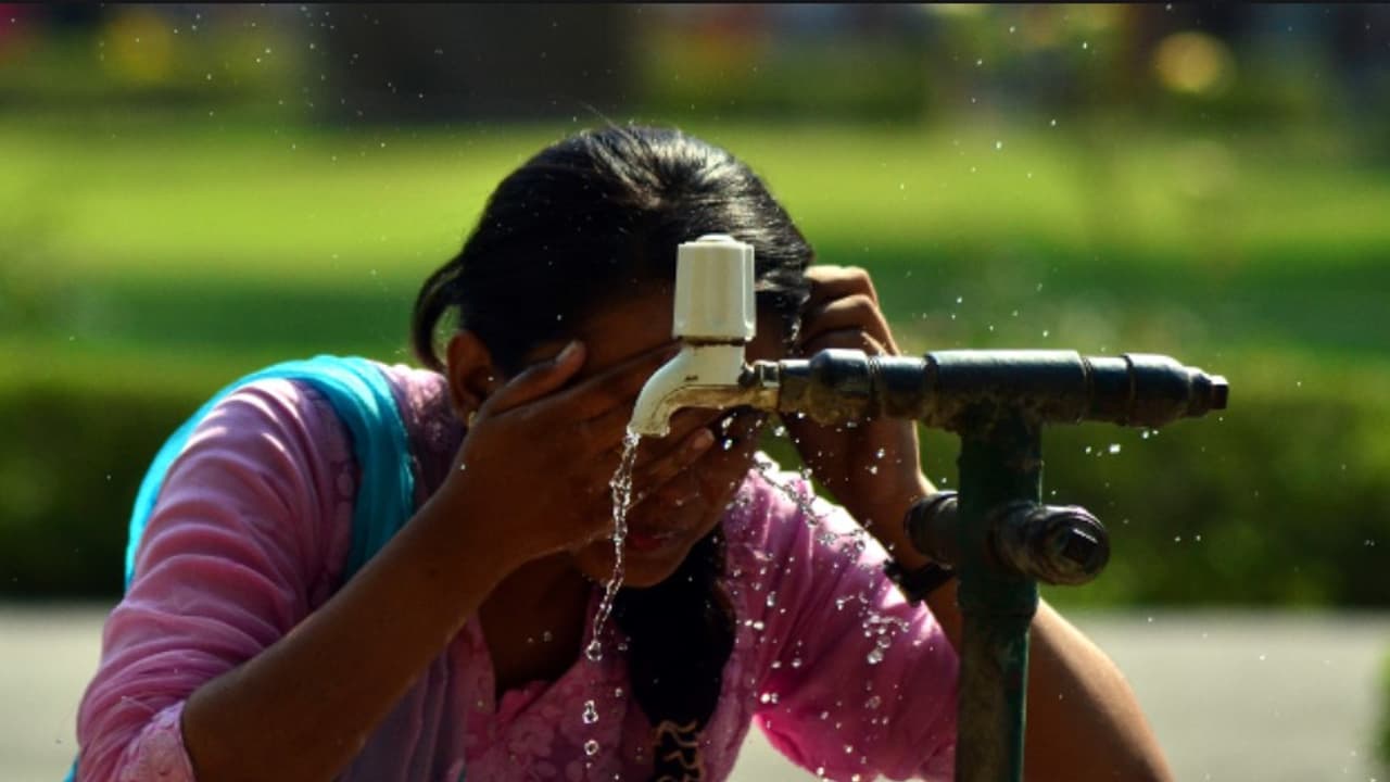 hot weather heatwave hot weather heatwave