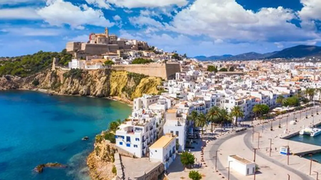 spain, ibiza, venomous spider, trending news, weird news, ajab gajab, horror crime, interesting news