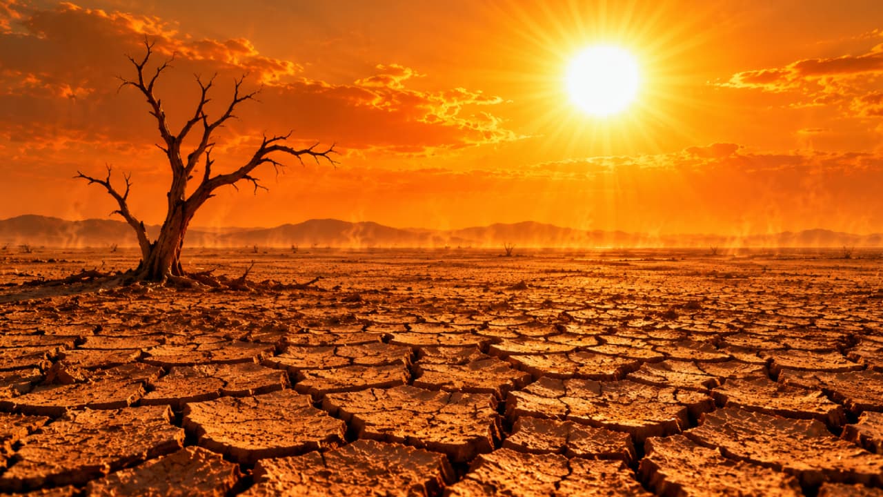 Drought Drought