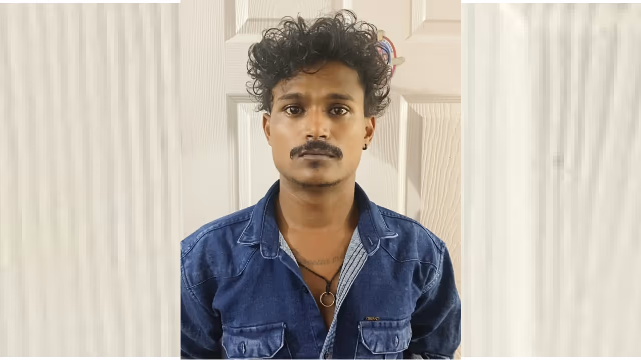 arrest arrest