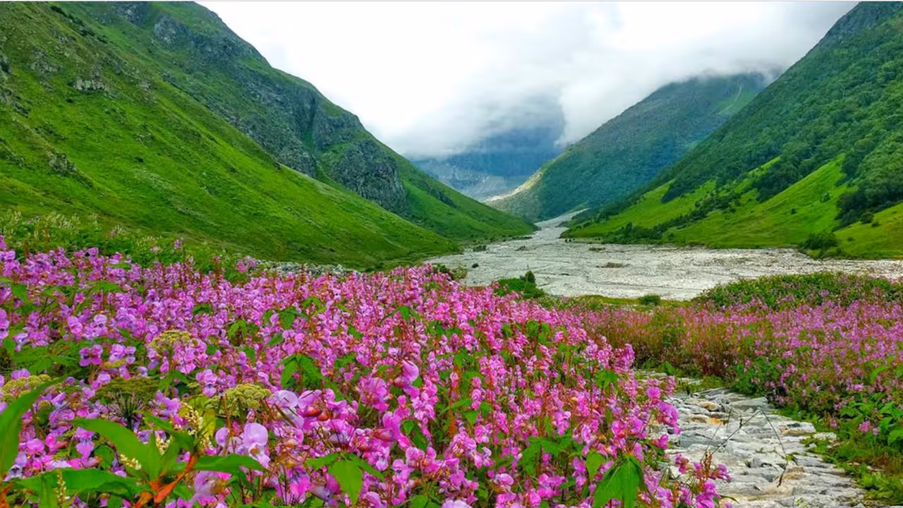 valley valley