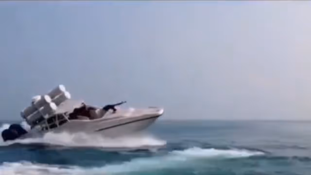 Red bees of Persian Gulf Red bees of Persian Gulf