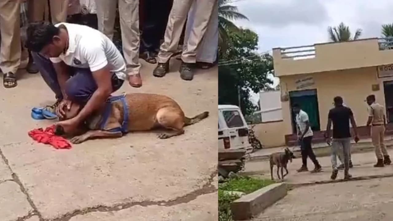 Andhra Pradesh nandyala rape