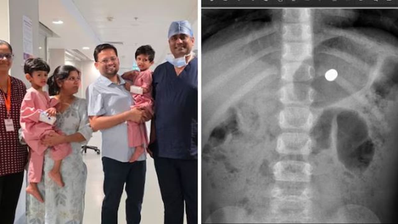 Sibling Swallows Magnets