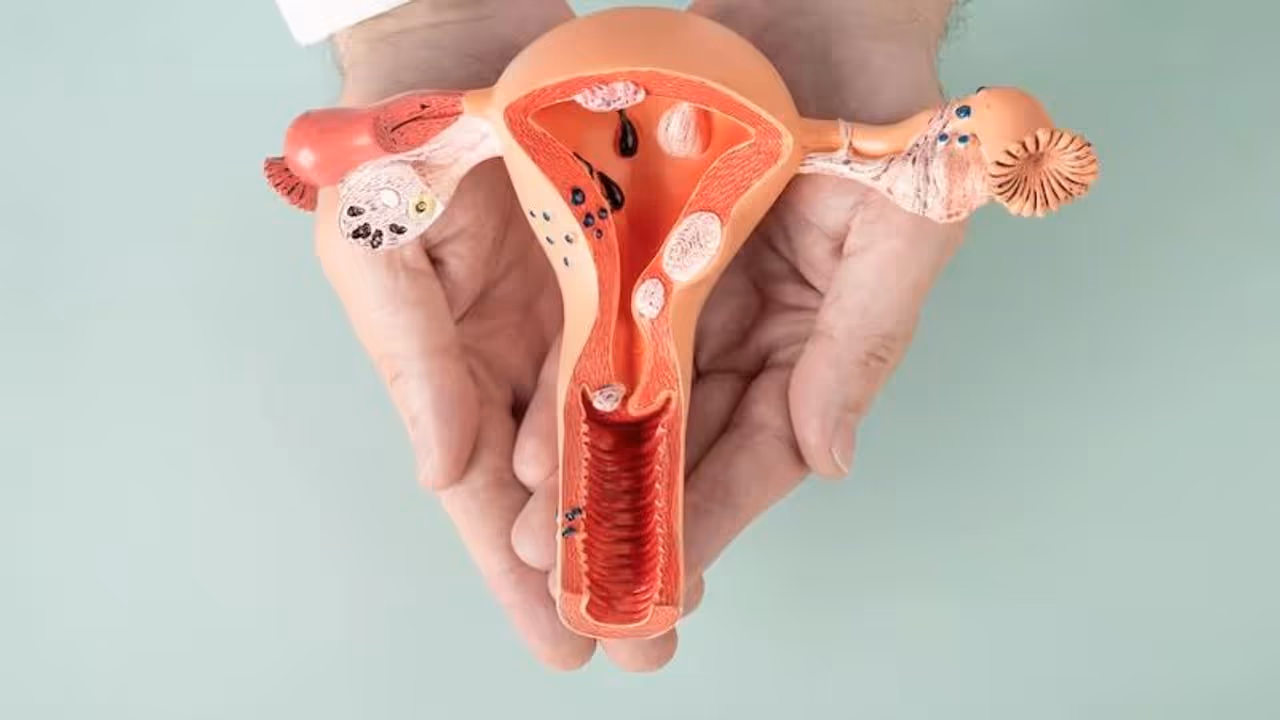 Vaginal Yeast Infections Vaginal Yeast Infections