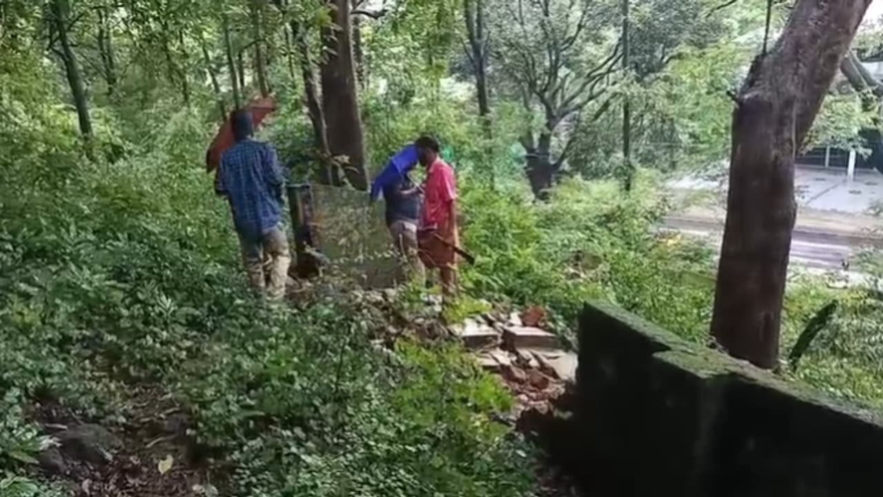 forest station attack