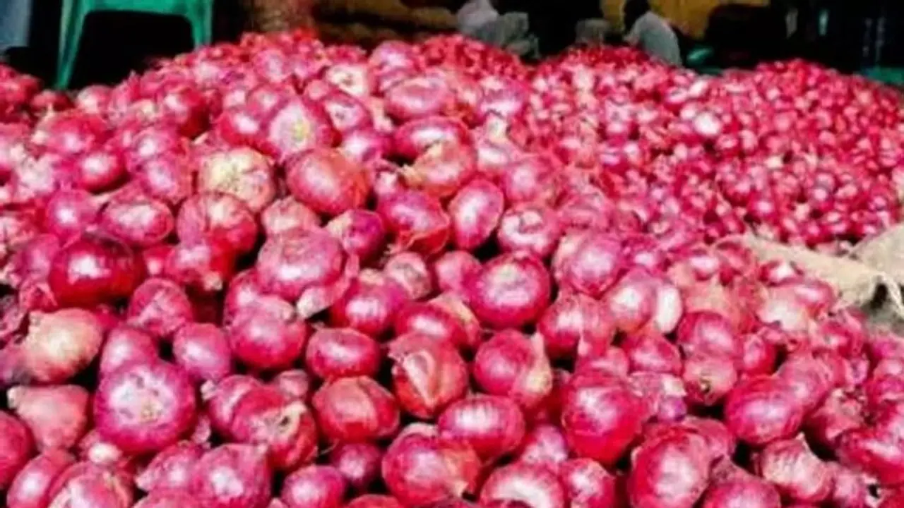 लॉकडाउन के बीच सरकार रख रही है प्याज की कीमतों पर नजर