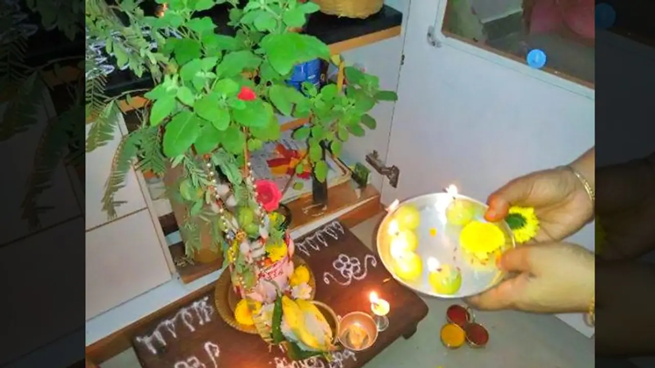 तुलसी की पूजा करने से घर में धन के साथ ही आती है शांति
