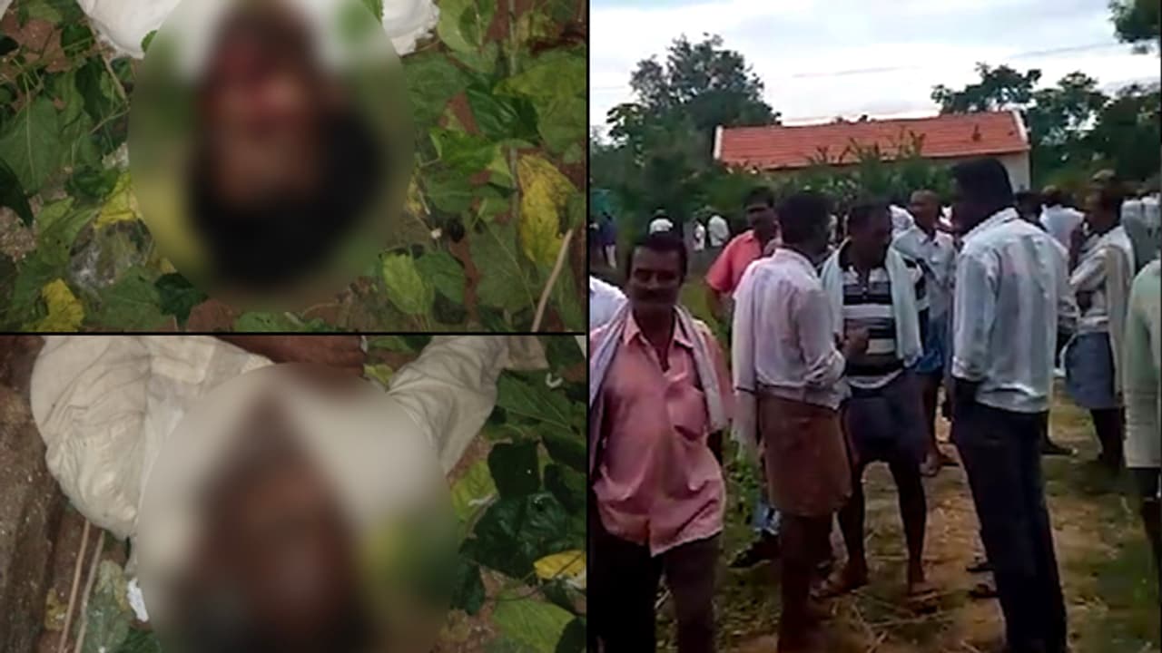 Watch: Father and Son died after being exposed to high-voltage power ...