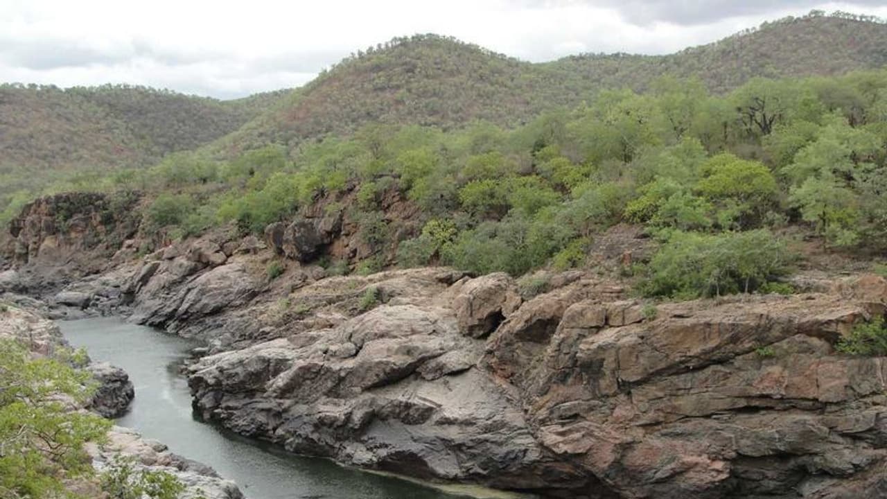 Mekedatu Dam: 17 ಗೇಟ್ಗಳನ್ನು ನಿರ್ಮಿಸುವ ಉದ್ದೇಶ: ಮೇಕೆದಾಟು ಡ್ಯಾಂ ಯೋಜನೆಗೆ ಬೇಕಿದೆ 5000 ಹೆಕ್ಟೇರ್ ಭೂಮಿ | 5000 Hectares Of Land Required For Mekedatu Dam Project Gvd Mekedatu Dam: 17 ಗೇಟ್ಗಳನ್ನು ನಿರ್ಮಿಸುವ ಉದ್ದೇಶ: ಮೇಕೆದಾಟು ಡ್ಯಾಂ ಯೋಜನೆಗೆ ಬೇಕಿದೆ 5000 ಹೆಕ್ಟೇರ್ ಭೂಮಿ | 5000 Hectares Of Land Required For Mekedatu Dam Project Gvd