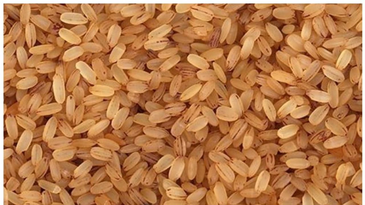 Kerala Rice: ఈ స్పెషల్ కేరళ రైస్ తింటే ఎంత మంచిదో తెలుసా? | Health ...