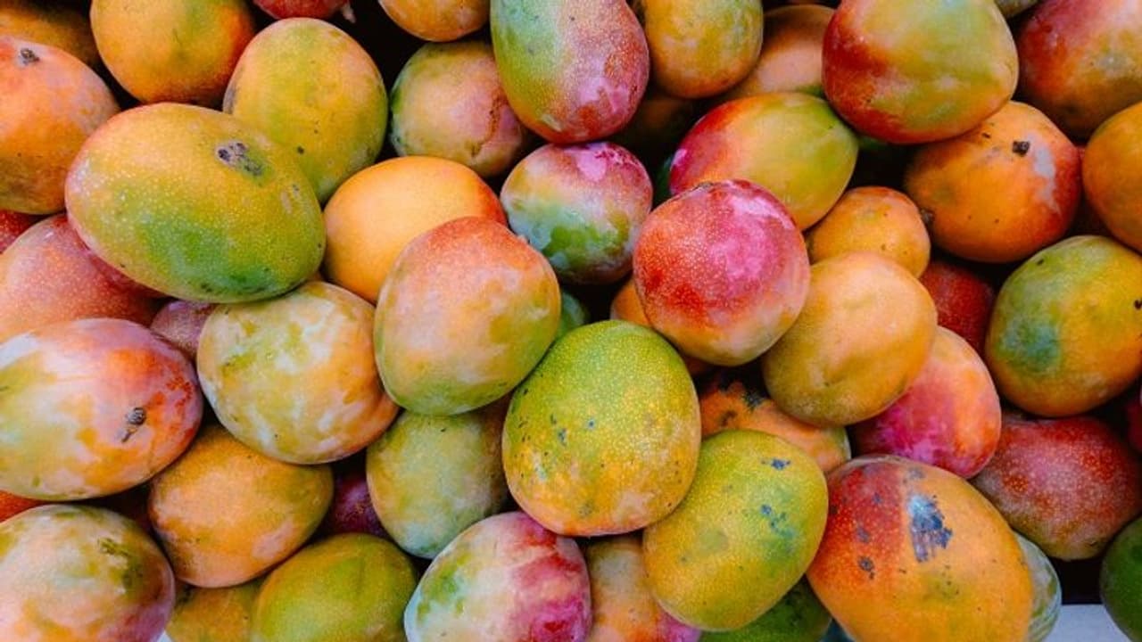 How to buy a perfect mango? Here are some do's & don'ts while purchasing juicy mangos