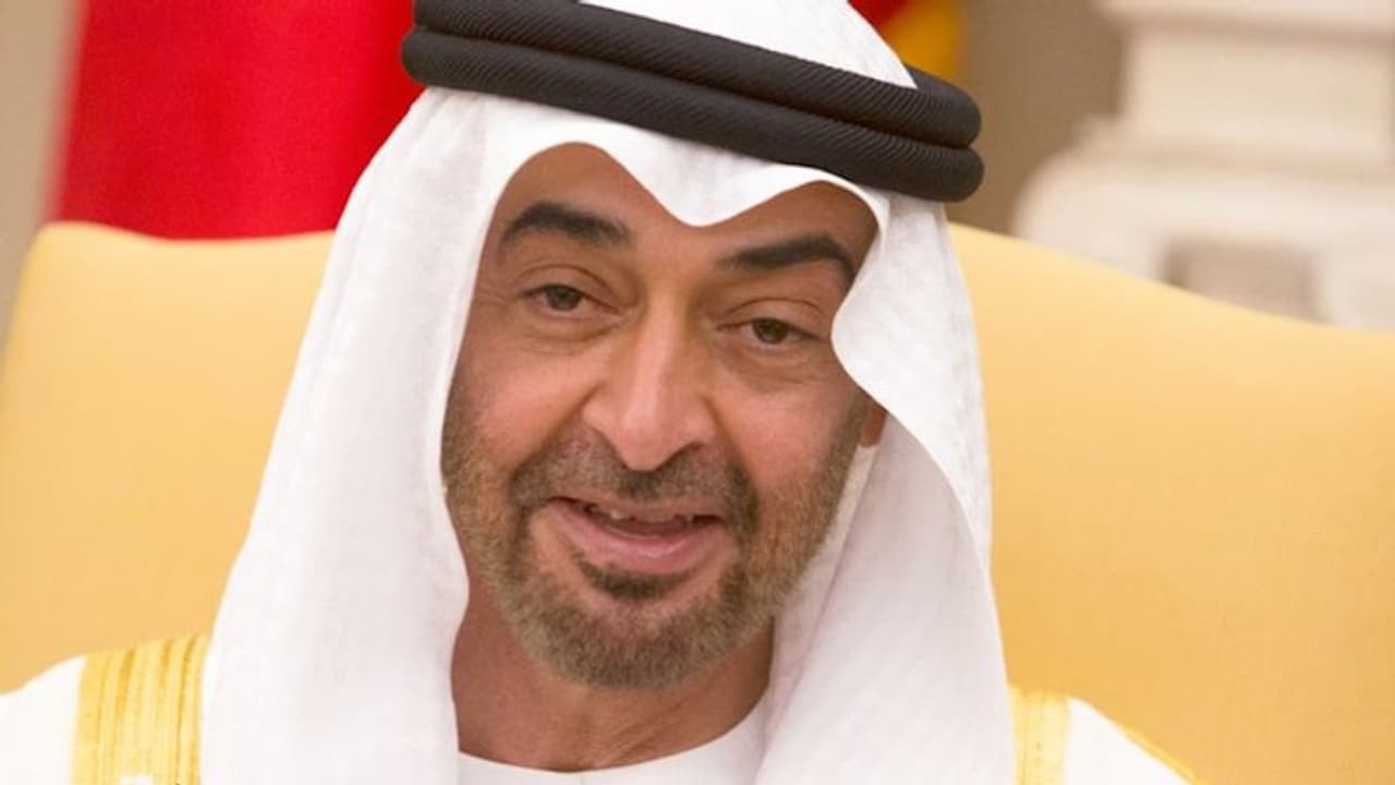 What is newly-elected President of UAE Sheikh Mohamed bin Zayed's net worth?