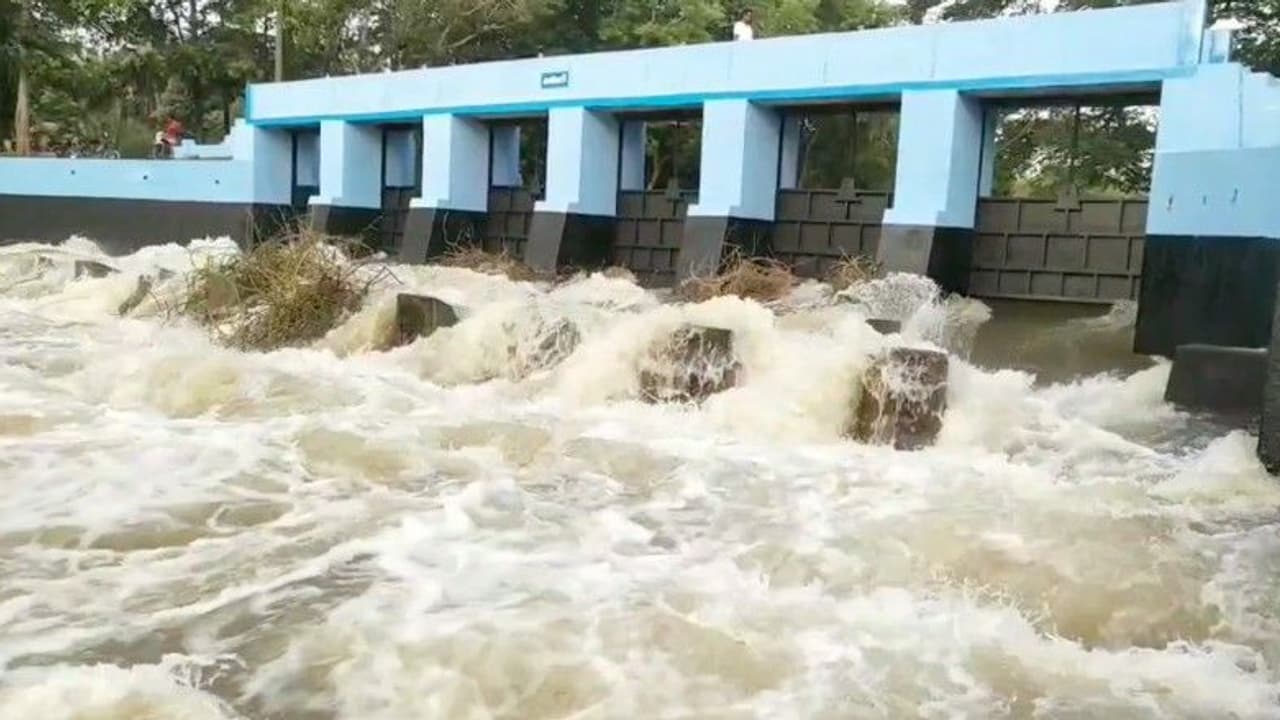 ಕಾವೇರಿ ನೀರಿನ ಪೈಪು ಒಡೆದು 5-6 ತಿಂಗಳಿಂದ ನೀರು ಪೋಲು : ಕ್ರಮಕೈಗೊಳ್ಳದ ಅಧಿಕಾರಿಗಳು | Water Wastage For 5 6 Months Officials Fail To Take Action In Bengaluru ಕಾವೇರಿ ನೀರಿನ ಪೈಪು ಒಡೆದು 5-6 ತಿಂಗಳಿಂದ ನೀರು ಪೋಲು : ಕ್ರಮಕೈಗೊಳ್ಳದ ಅಧಿಕಾರಿಗಳು | Water Wastage For 5 6 Months Officials Fail To Take Action In Bengaluru