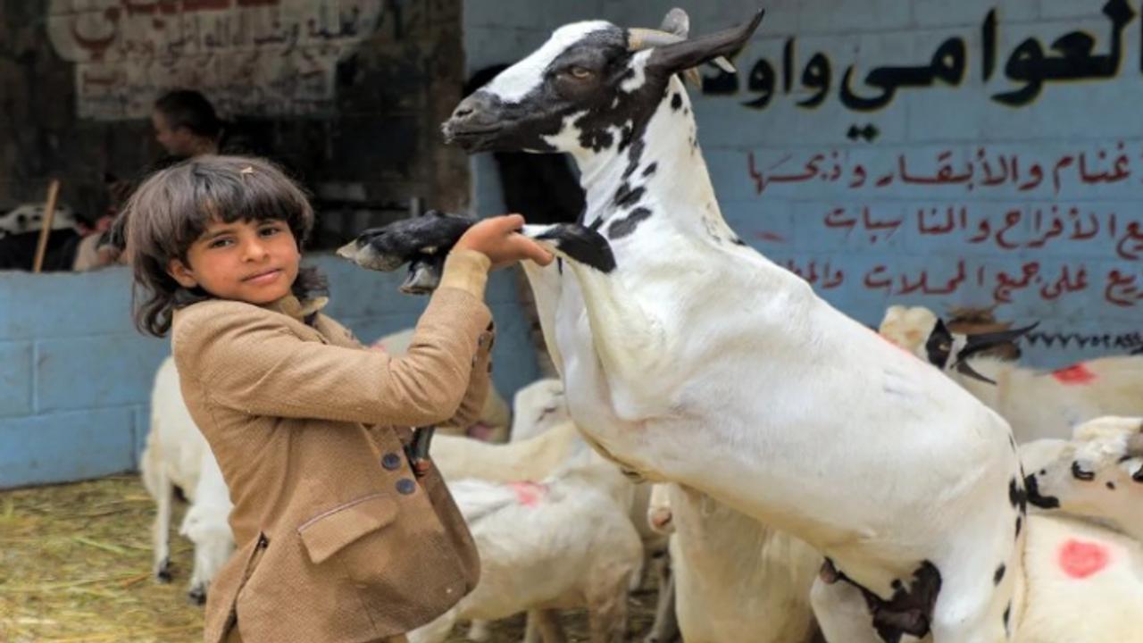 Bakrid holidays 