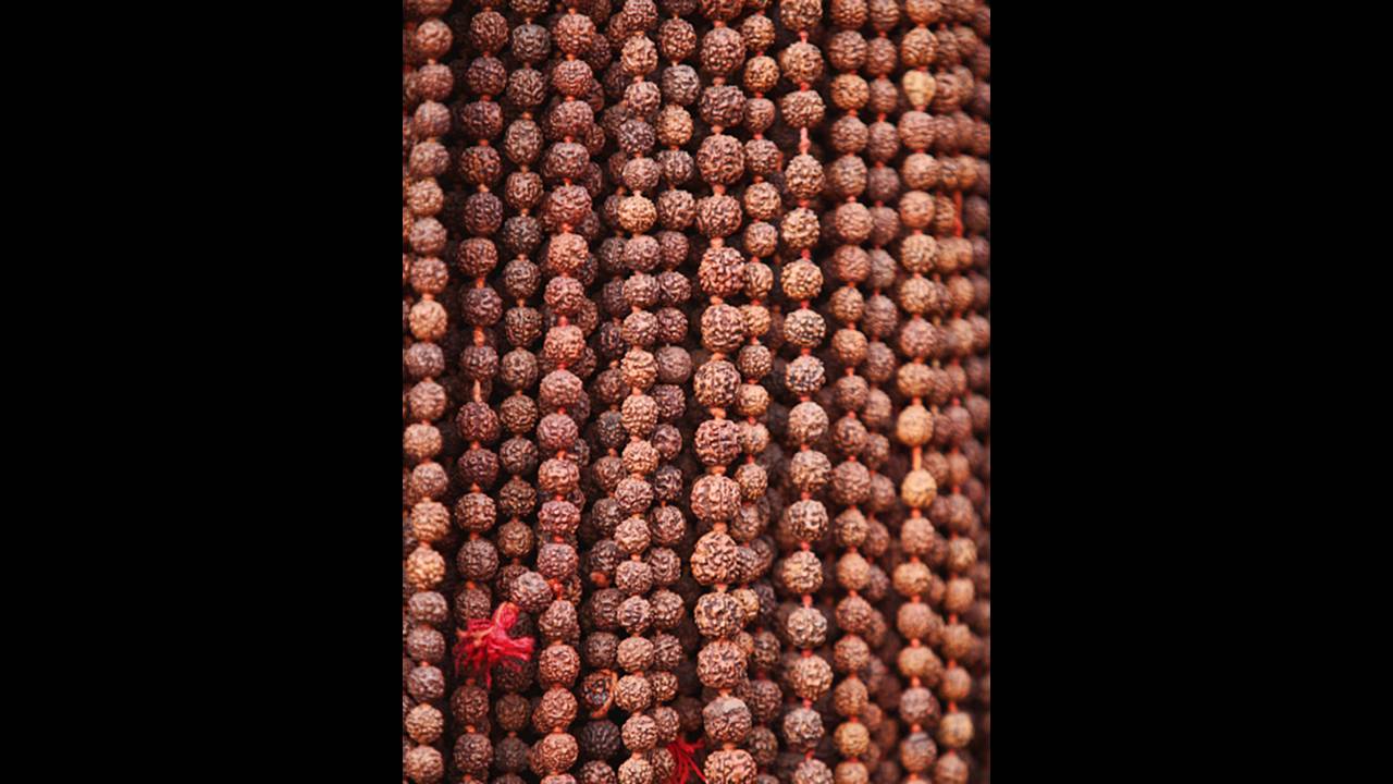 What is Rudraksha? Do's & Don'ts while wearing, know benefits and significance