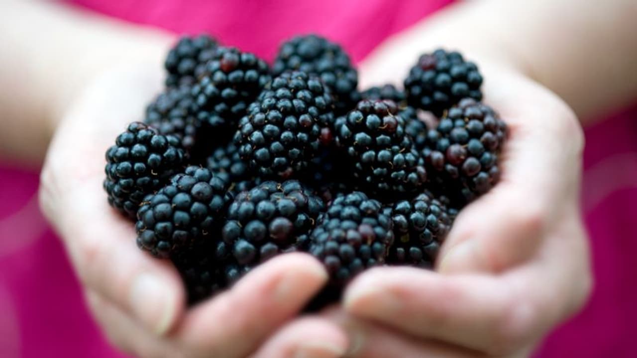 Healthy Fruits: ನಿಮ್ಮ ಆರೋಗ್ಯದ ವೃದ್ಧಿಗೆ ಈ 5 ಹಣ್ಣುಗಳನ್ನು ತಿನ್ನಿ!