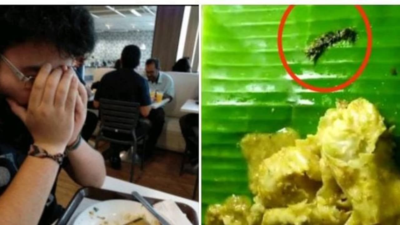 பிரபல ஓட்டல் பரோட்டா சால்னாவில் கிடந்த பூரான்..! அதிர்ச்சியில் உணவு ...