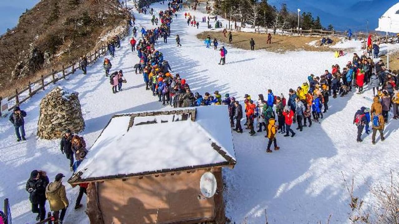 Top 5 Hill Station: கோடை வெயிலை சமாளிக்க..டாப் 5 குளு குளு இடங்கள்! எப்படி செல்வது? எவ்வளவு பட்ஜெட்? முழு விவரம்!