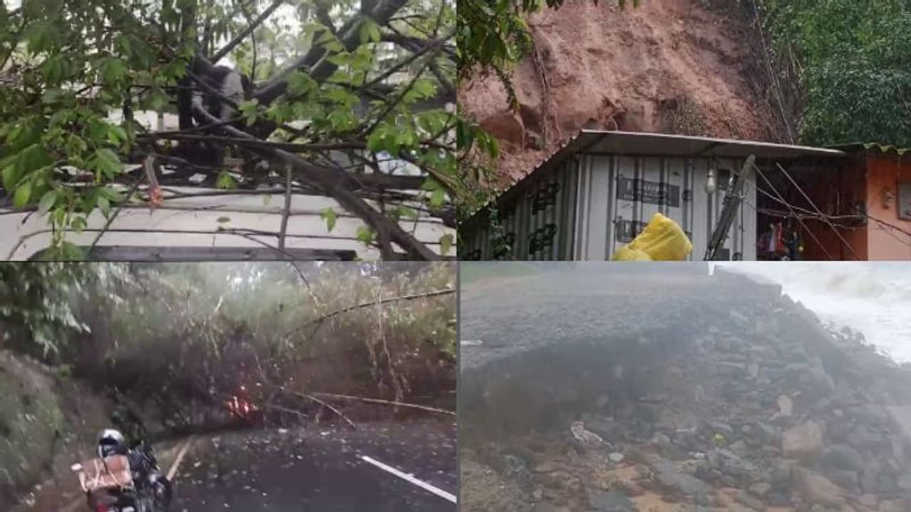 Kerala rain heavy rain in state, one person was injured after a tree ...
