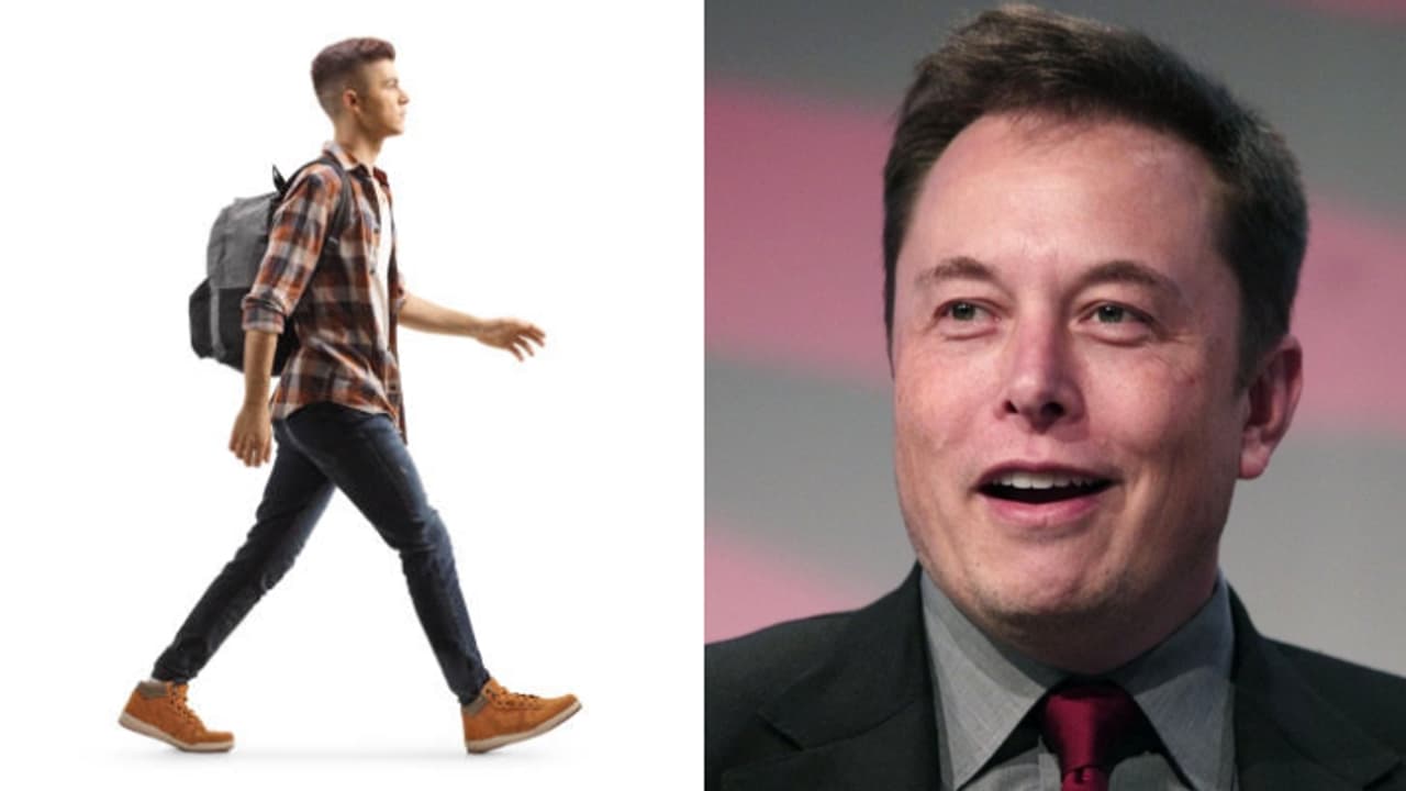 Get paid Rs 28,000 for walking 7 hours a day: Learn about Elon Musk’s exciting job offer