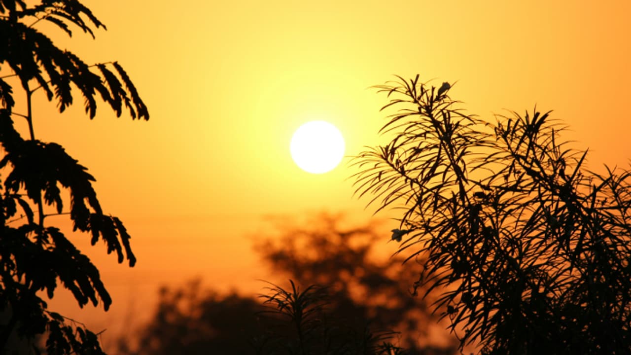From Gas to Glow: The Amazing Story of the Sun's Creation | ಸೂರ್ಯನ ...