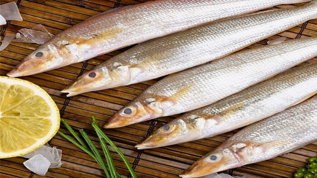 Kilanga Fish Benefits In Tamil : மீனில் 'சிறந்தது' இதுதான்.. 'கிழங்கான் ...
