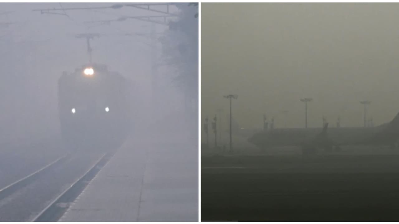 Delhi Weather LATEST Update: City To Face Extreme Cold Wave, Fog In 2 Days? Check Forecast