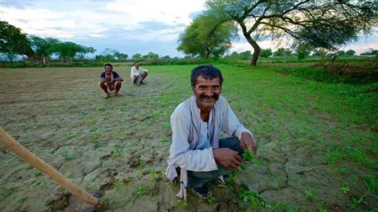 Uttar Pradesh's new food processing policy to empower farmers ...