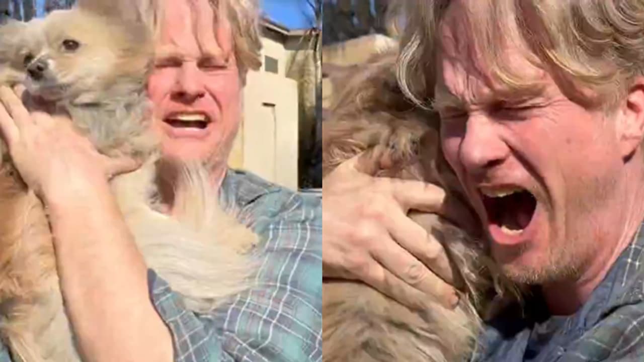 Heartwarming Video: Man reunites with his missing dog after wildfire in ...