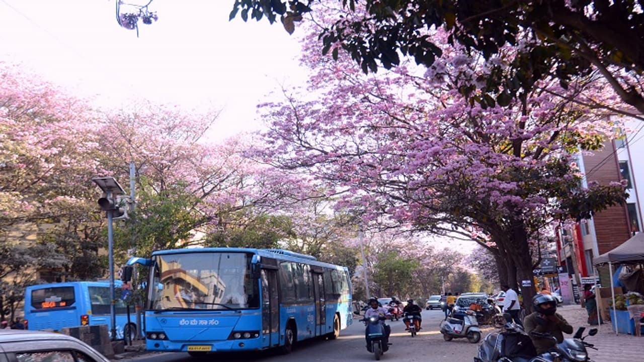 ರಾಮನಗರ-ಕನಕಪುರಕ್ಕೆ ಬಿಎಂಟಿಸಿ ಬಸ್ ಸಂಚಾರ – ಪ್ರಮುಖ ಪಟ್ಟಣಗಳಿಗೆ ವೇಗದೂತ-ಶಕ್ತಿ ಯೋಜನೆಯಡಿ 690 ಕೋಟಿ ಪ್ರಯಾಣ | Bmtc Bus Services Extended To Ramanagara Fulfilling Long Pending Demand ರಾಮನಗರ-ಕನಕಪುರಕ್ಕೆ ಬಿಎಂಟಿಸಿ ಬಸ್ ಸಂಚಾರ – ಪ್ರಮುಖ ಪಟ್ಟಣಗಳಿಗೆ ವೇಗದೂತ-ಶಕ್ತಿ ಯೋಜನೆಯಡಿ 690 ಕೋಟಿ ಪ್ರಯಾಣ | Bmtc Bus Services Extended To Ramanagara Fulfilling Long Pending Demand